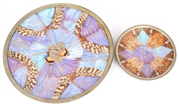 IRIDESCENT BUTTERFLY WING PLATES LOT OF TWO