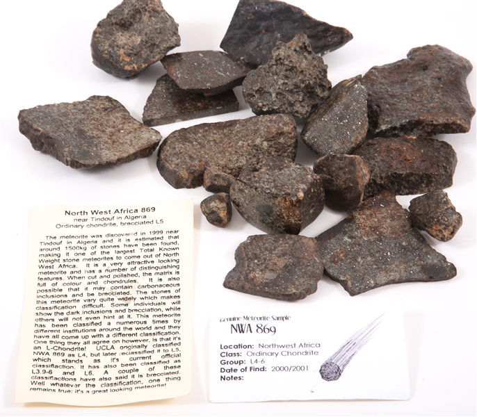NWA 869 METEORITE COLLECTION