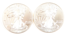 2013 U.S. 1 OZT SILVER EAGLE - LOT OF 2