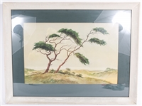 20TH C. JAN KAGIE WATERCOLOR OF A PINE TREE - SIGNED