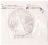 2004 .999 FINE AMERICAN SILVER EAGLES - LOT OF 2