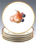 THOMAS OF BAVARIA FRUIT PLATES #3206 - LOT OF 6