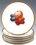 THOMAS OF BAVARIA FRUIT PLATES #3206 - LOT OF 6