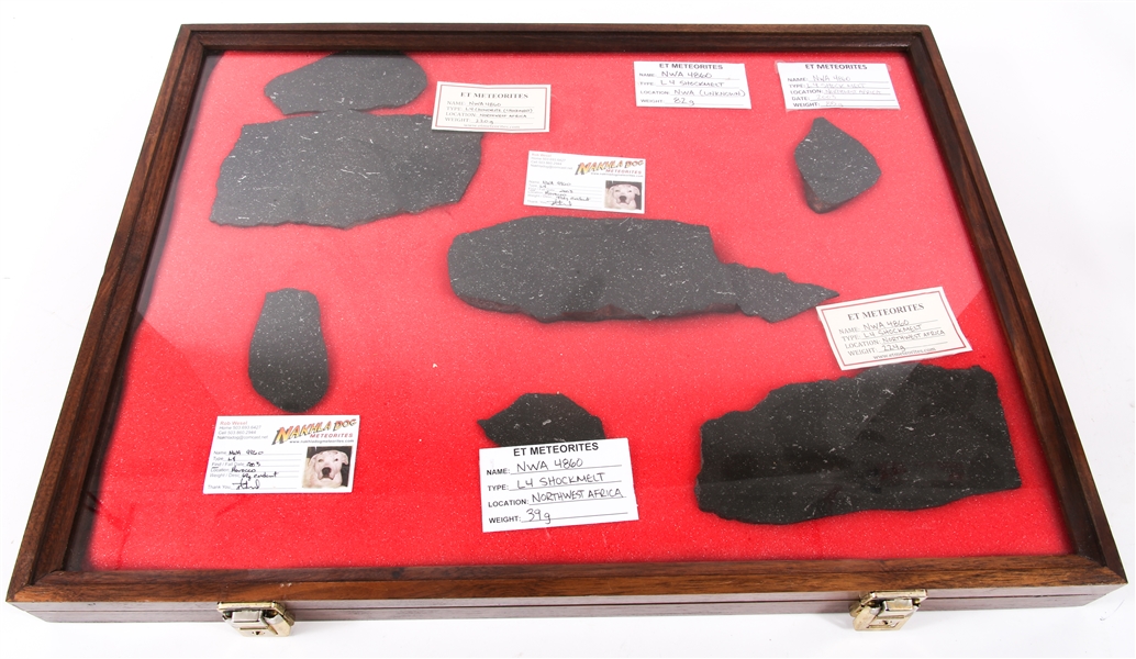 NWA 4860 CHONDRITE SHOCKMELT COLLECTION IN DISPLAY CASE