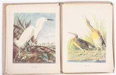 MACMILLIAN CO. AUDUBON BIRDS OF AMERICA PRINT SELECTION