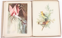 MACMILLIAN CO. AUDUBON BIRDS OF AMERICA PRINT SELECTION