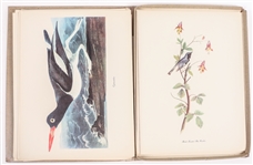 MACMILLIAN CO. AUDUBON BIRDS OF AMERICA PRINT SELECTION