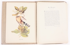 MACMILLIAN CO. AUDUBON BIRDS OF AMERICA PRINT SELECTION
