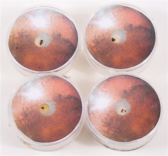 COLLECTION OF FOUR MARTIAN METEORITES