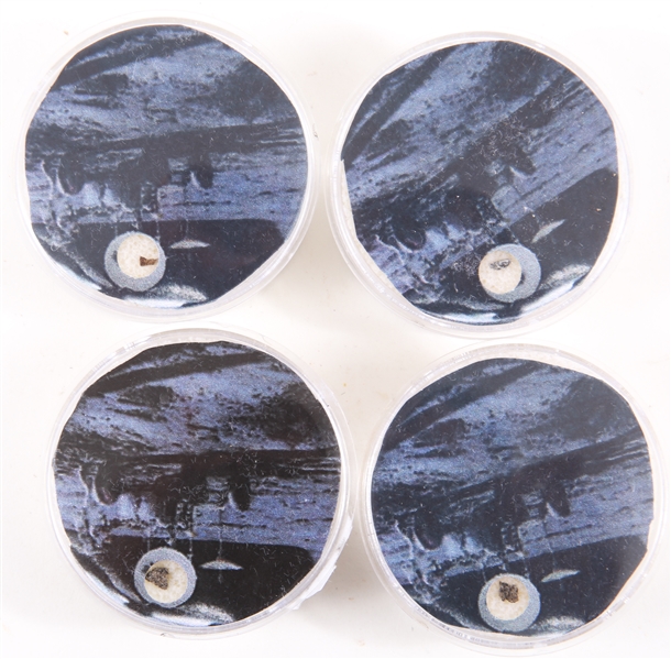 SAMPLE OF FOUR LUNAR METEORITES