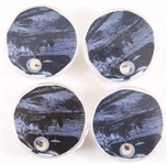 SAMPLE OF FOUR LUNAR METEORITES