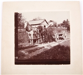 OREGON RANCHER POST CARD AND CABINET CARD