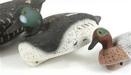 CORK BODY DUCK DECOYS - WIGEON, GOLDENEYE, BLACK DUCK