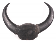 EARLY 20TH C. PHILIPPINES WATER BUFFALO HORNS