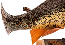 FOLK ART FISH WOOD CARVING ON STAND