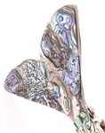 MID 20TH C. ARTICULATED ABALONE FIGURAL BOTTLE OPENER