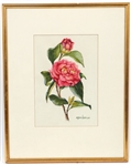 AGNES HARRISON WATERCOLOR ON PAPER CAMELIA PAINTING FRAMED