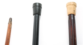 THREE WOODEN CROOK HANDLED CANES 