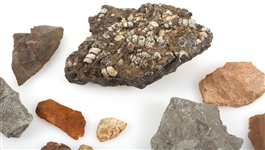 LITHIC CORE AND ARROWHEAD SHARDS & FOSSIL SPECIMENS