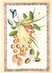 CHINESE SILK PAINTING IN FRAME