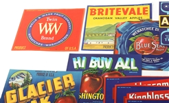 WASHINGTON STATE FRUIT CRATE LABELS LOT OF 19