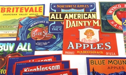 WASHINGTON STATE FRUIT CRATE LABELS LOT OF 19