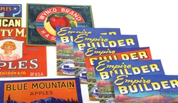 WASHINGTON STATE FRUIT CRATE LABELS LOT OF 19