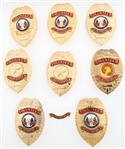 VOLUNTEER FIRE DEPARTMENT AND FIREFIGHTER BADGES