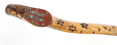 WALKING STICKS & CANE - LOT OF 6