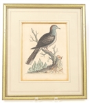 FRAMED BIRD PRINTS - LOT OF 3