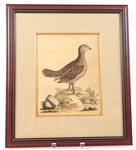 FRAMED BIRD PRINTS - LOT OF 3