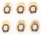 NASSAU CO. NY POLICE DEPARTMENT PINS - LOT OF 6