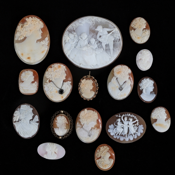 CARVED SHELL CAMEOS