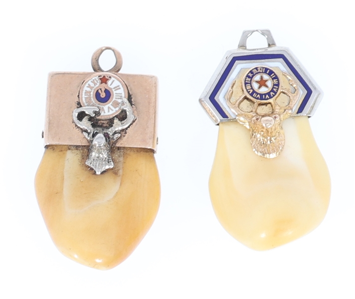 14K GOLD FRATERNAL ELKS LODGE ELKS TOOTH CHARMS
