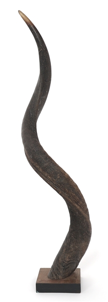 ANTELOPE HORN ON WOODEN BASE