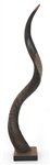 ANTELOPE HORN ON WOODEN BASE