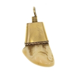 10K GOLD & GOLD FILLED FRATERNAL ELK TOOTH PENDANTS