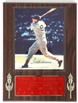 TED WILLIAMS AUTOGRAPHED PHOTO & STATS DISPLAY PLAQUE