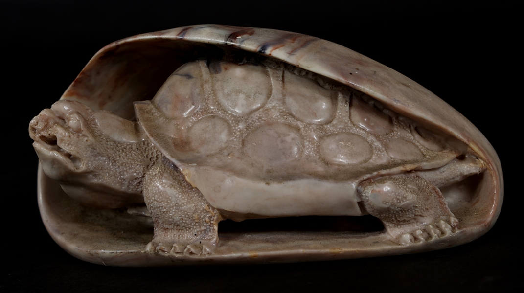 CHINESE CARVED SHOUSHAN STONE TURTLE