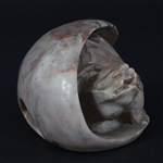 CHINESE CARVED SHOUSHAN STONE TURTLE