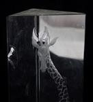 CRYSTAL AND GLASS DECOR FOR PARTS & REPAIR 