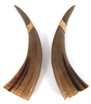 DRAGON & PHOENIX CARVED HORNS