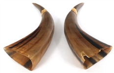 DRAGON & PHOENIX CARVED HORNS