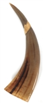 DRAGON & PHOENIX CARVED HORNS
