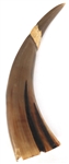 DRAGON & PHOENIX CARVED HORNS