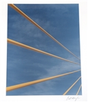DONATO PIETRODANGELO SIGNED YELLOW CABLES PHOTO PRINT