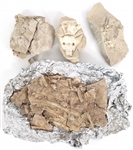 DINOSAUR FOSSIL SPECIMENS - UNSPECIFIED