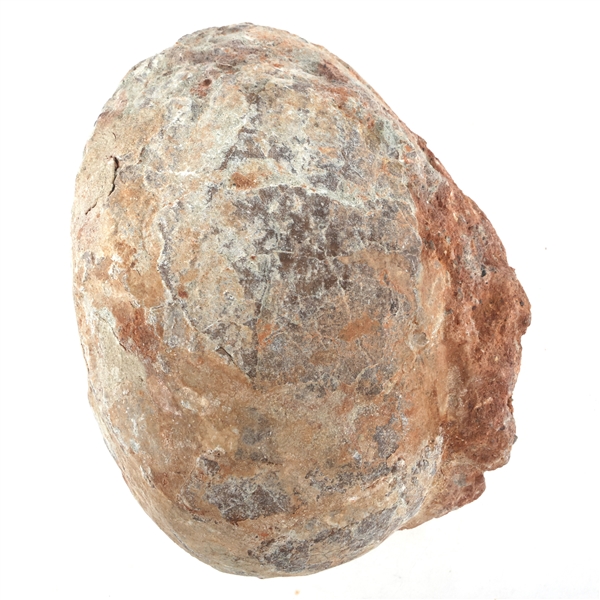 DINOSAUR FOSSIL EGG SPECIMEN - UNSPECIFIED