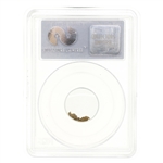 COLLECTORS UNIVERSE CALIFORNIA GOLD RUSH NUGGETS .5G
