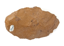 CARVED LITHIC HAND TOOLS
